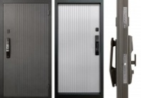 Входная металлическая дверь ПРОМЕТ “Рона Смарт” (2050х860). Входная металлическая дверь ПРОМЕТ “Рона Смарт” (2050х860).