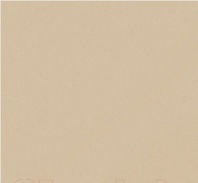 Плитка керамическая Моноколор Аворио CF 100 MR (600x600) Плитка керамическая Моноколор Аворио CF 100 MR (600x600)